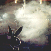 digital playboy