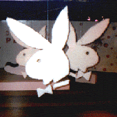 digital playboy