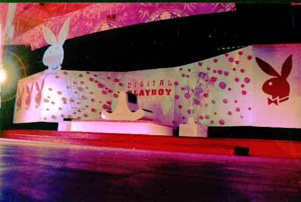 digital playboy